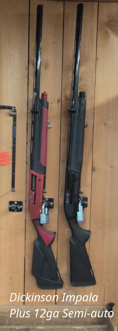 various shot guns